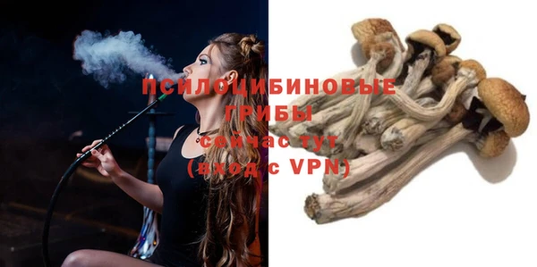 ПСИЛОЦИБИНОВЫЕ ГРИБЫ Белокуриха