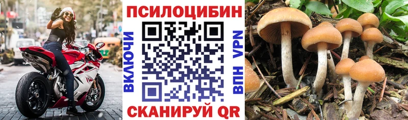 Галлюциногенные грибы мицелий  Бугульма 