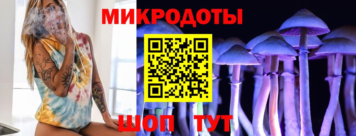 Псилоцибиновые грибы GOLDEN TEACHER  Галлюциногенные грибы Cubensis  Вход с VPN  Бугульма 