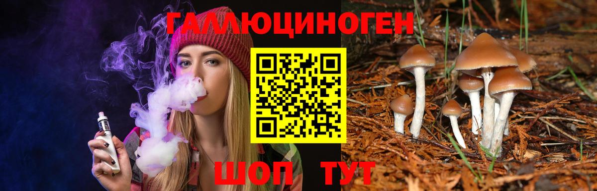 Галлюциногенные грибы Psilocybe Бугульма